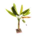 Handicraft Artificial Banana Tree 